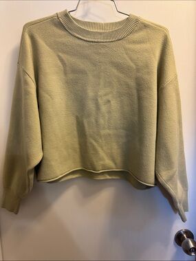 Simons Cropped Crewneck Sweater in Sage Green